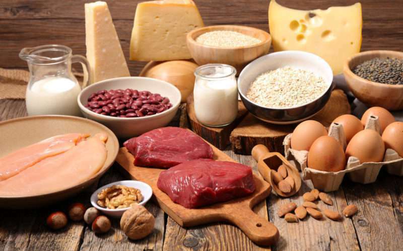 Trifocus fitness academy - protein