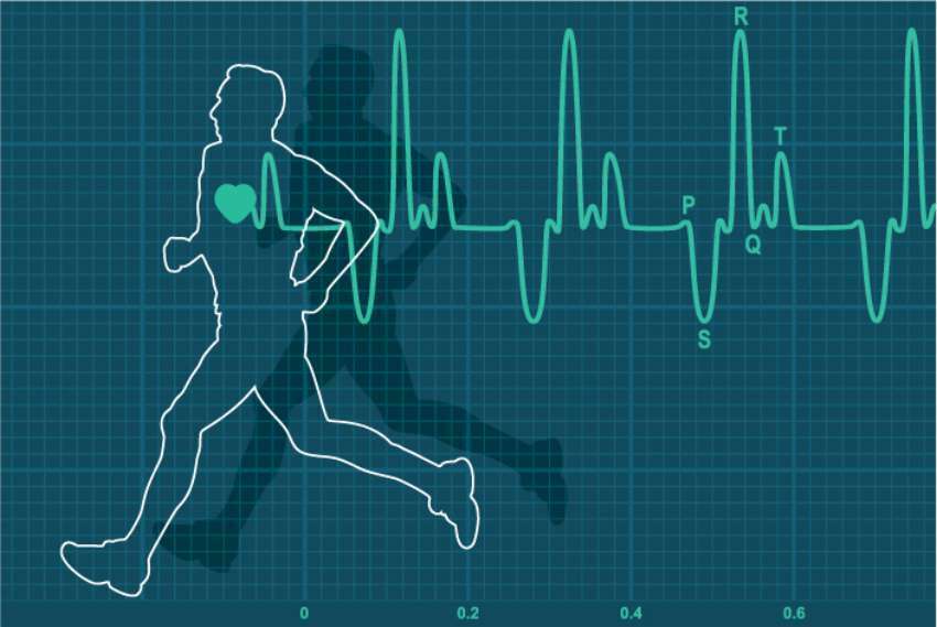 cardiovascularly fit