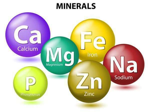 Trifocus fitness academy - trace minerals