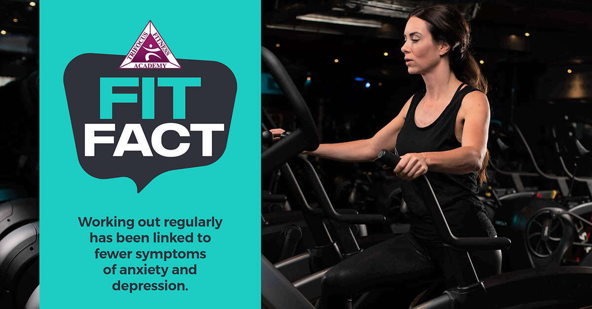 Trifocus Fitness Academy - mental health