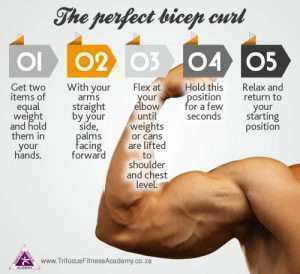 bicep strength