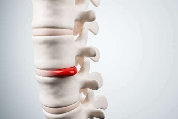 Trifocus fitness academy - vertebrae