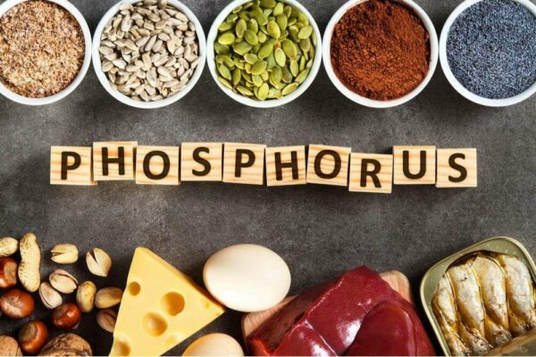 Trifocus fitness Academy - phosphorus