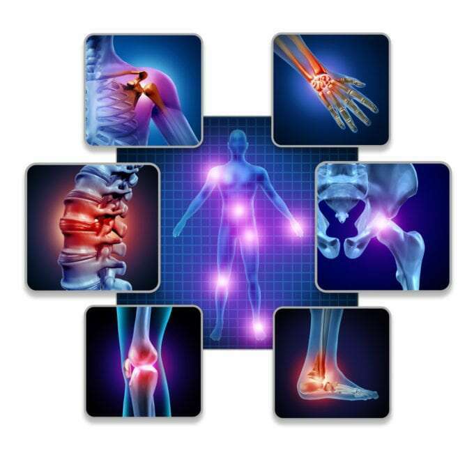 Trifocus Fitness Academy - ligaments