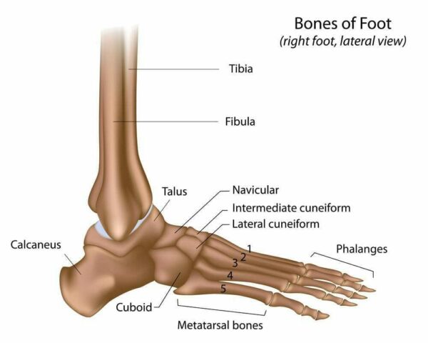 Trifocus Fitness Academy - foot