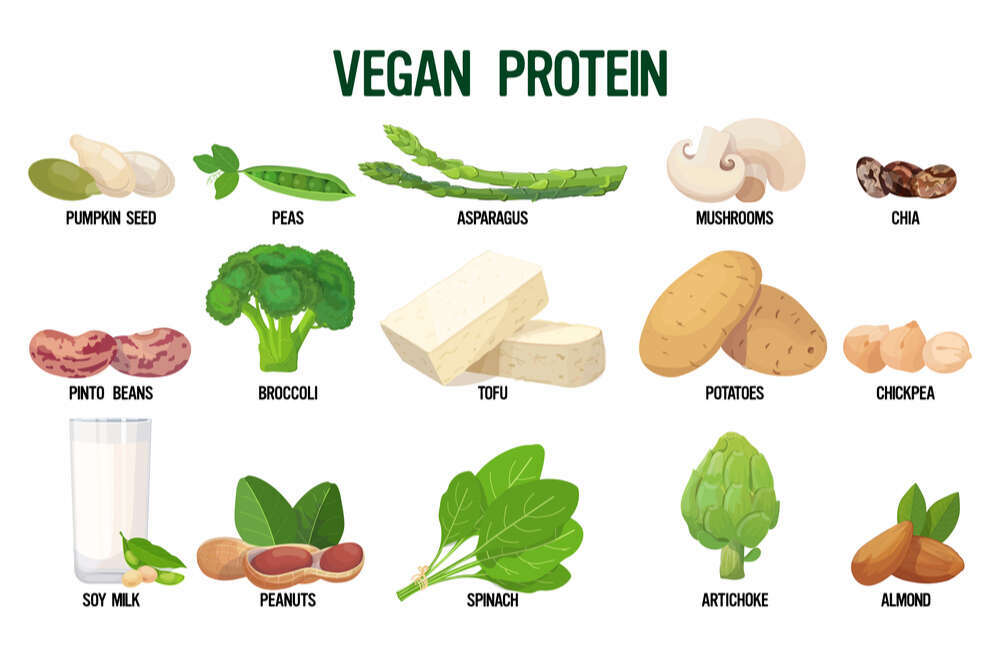 Trifocus Fitness Academy - plant-based diet