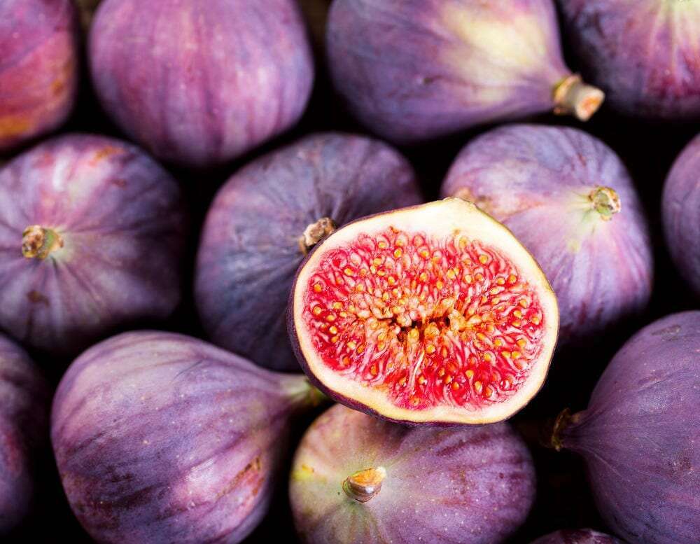 Trifocus Fitness Academy - Figs