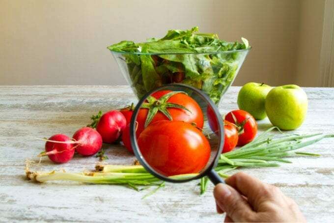 rifocus Fitness Academy - nutrition