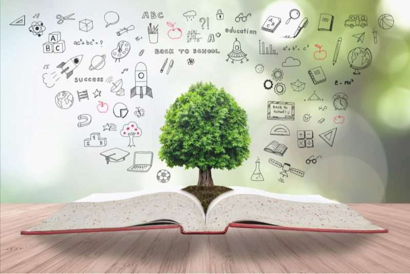 Trifocus Fitness Academy- conducive learning environment