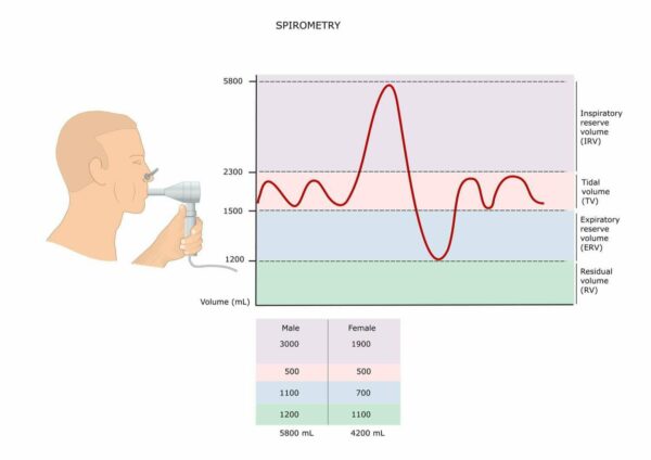 Trifocus Fitness Academy - lung volume