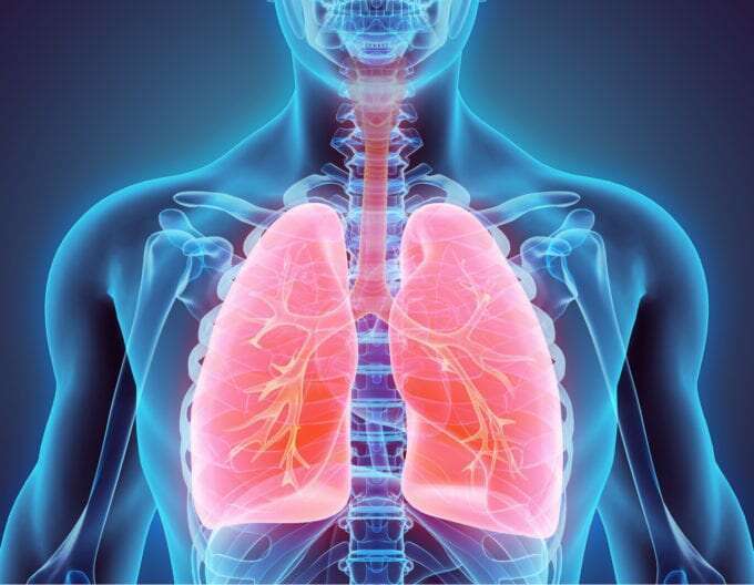 Trifocus Fitness Academy - lung volume