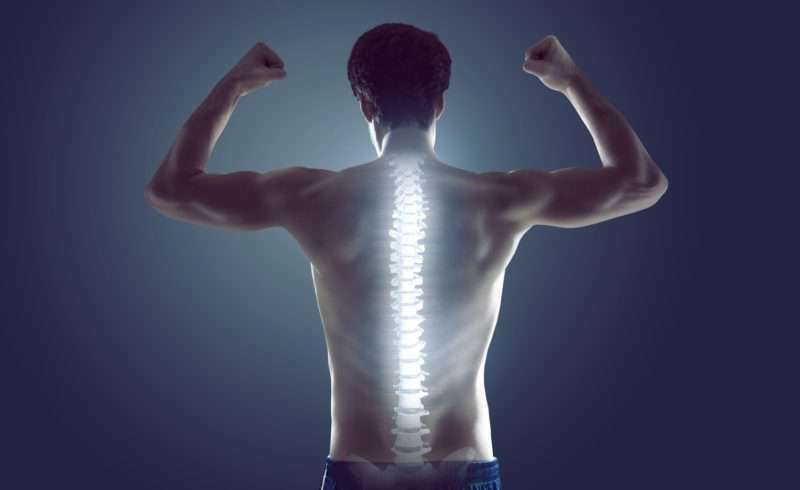Trifocus fitness academy - spine stabilisation