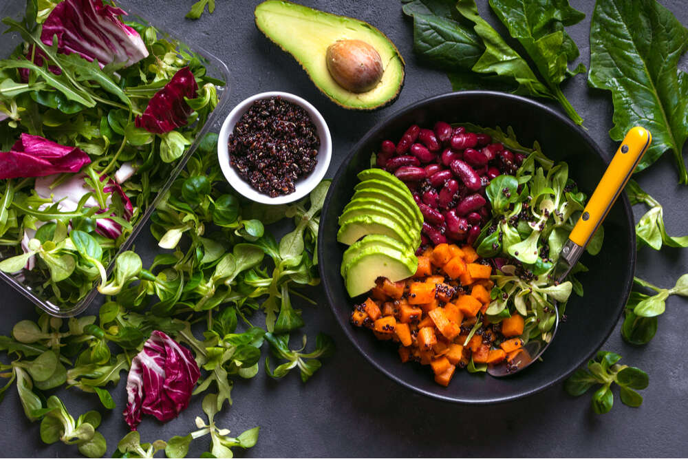 Trifocus Fitness Academy - Vegan Diet