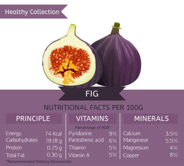 Trifocus Fitness Academy -nutritional 