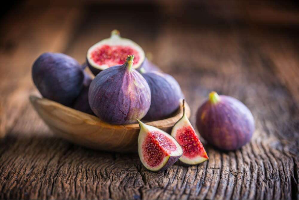 Trifocus Fitness Academy - Figs