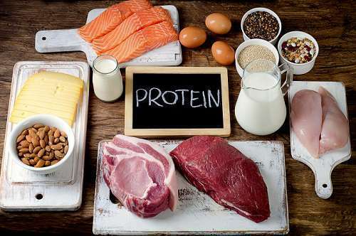 protein